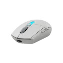 Logitech G G305 X SUPERLIGHT mouse Gaming Right-hand RF Wireless + Bluetooth Optical 44000 DPI