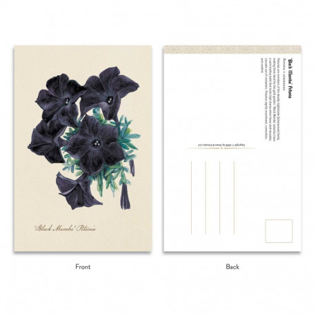 Postcard Set - Adams Media Goth Garden: Dark Blooms 50-Card Set
