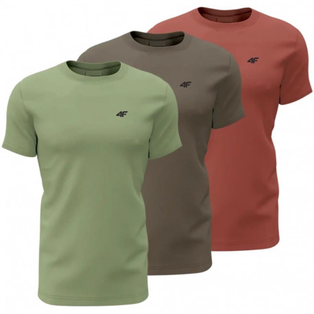 4F meeste T-särk M4480 4FWSS26TTSHM4480 90S XL, roheline, pruun, bordoopunane