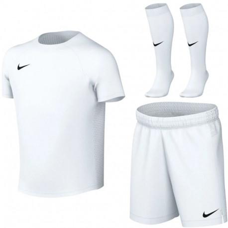 Nike väikelaste spordikomplekt Dri-Fit Park VIII HV8260 100 L, valge
