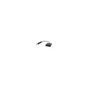 Gembird Adapter cable VGA, DisplayPort