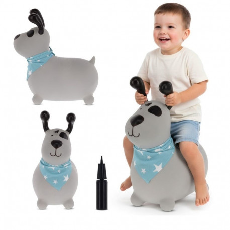 REKSIO kummist hüppeloom 60cm bandaanaga pumbaga, hall