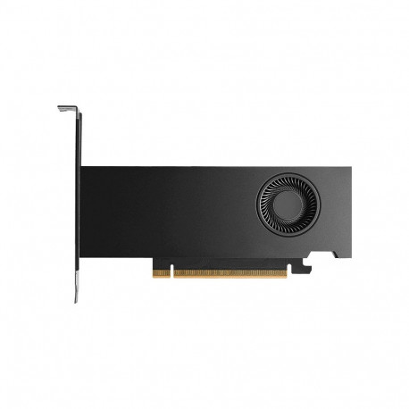 NVIDIA PNY RTX PRO 2000 Blackwell - 16 GB GDDR7 graphics card