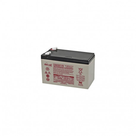Pliiaku 12V 7.6Ah 36W 151x65x100mm, Longlife 10a