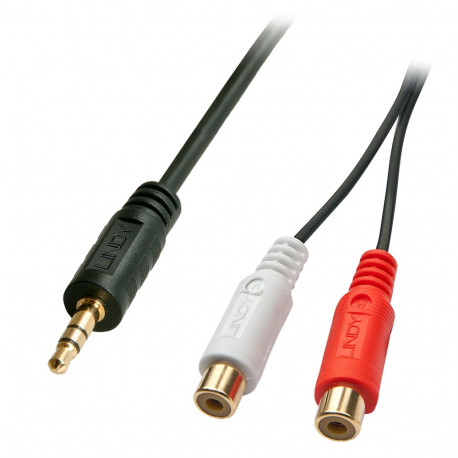 3.5mm (M) - 2xRCA (F) kaabel 0.25m, must