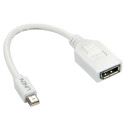 0.20m Mini DP to DP Adapter Cable