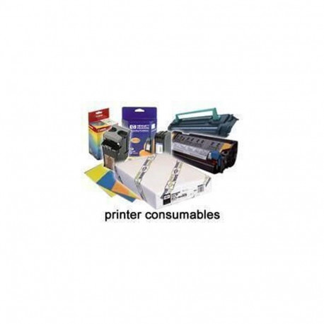 Epson Enhanced Adhesive Synthetic Paper Roll, 24" x 30,5 m, 135g/m2