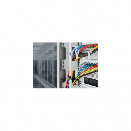 Digitus CAT 6A F-FTP Slim patch cord, 1 m, red, 10 pieces