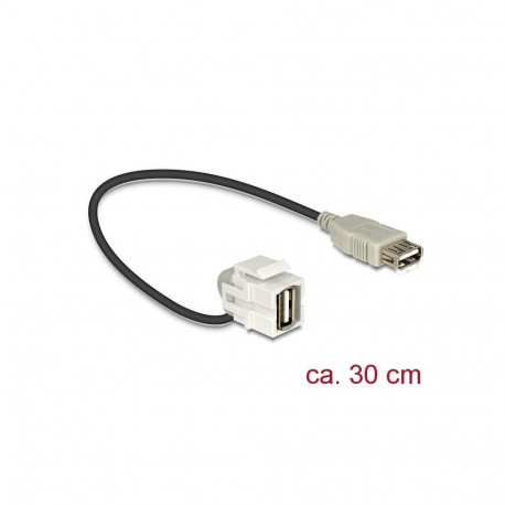 Keystone moodul: USB 2.0 A F / F, 110° nurgaga, kaabli pikkus 22cm, valge