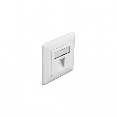 Delock Keystone Wall Outlet 1 port