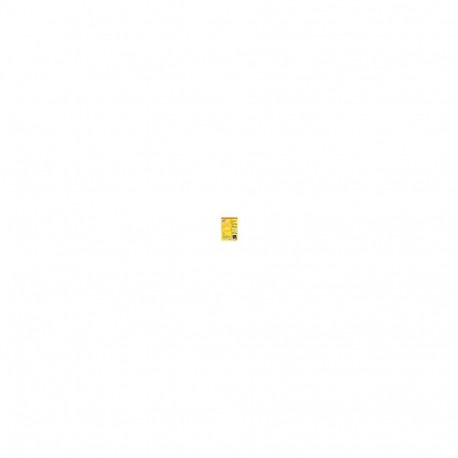 "AVERY Zweckform Etiketten 3458 grün 105,0 x 148,0 mm"