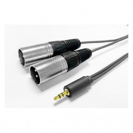 "3.5MM CABLE to 2 x XLR male 2m"