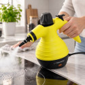 Steam cleaner Storm