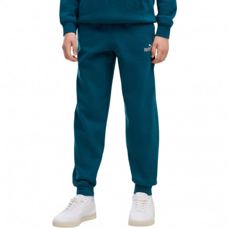 Puma laste püksid ESS 2 Color No. 1 Logo 685824 36 116cm, türkiissinine