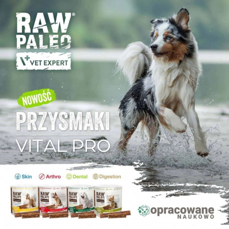 VETEXPERT Raw Paleo Vital Pro Dental Duck Mini Mono - dog treat - 100g