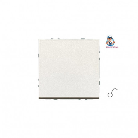 SWITCH IJ1.10-203-01.M/CH MODERN CH
