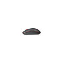 Asus WT300 RF