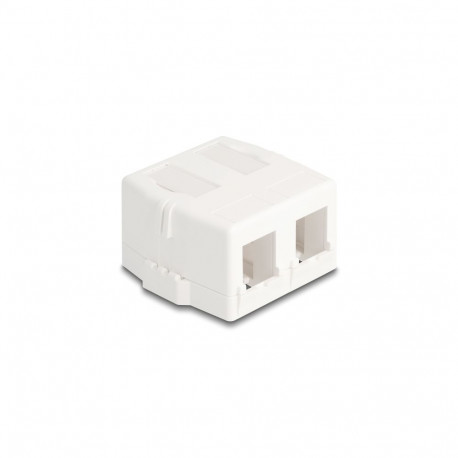 Delock Keystone Surface Mounted Box 2 Port with magnetic bottom, white