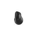 Wireless mouse vertical Crake 2