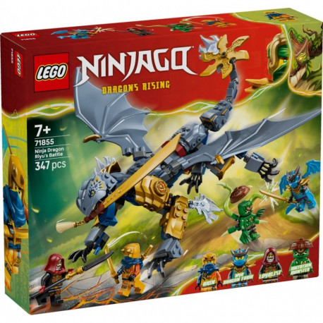 Ninjago ehitusklotsid 71855 Riyu draakonilahing