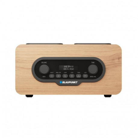 kaasaskantav DAB-raadio DR10CR