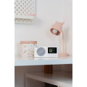 Portable DAB Radio DR6WH