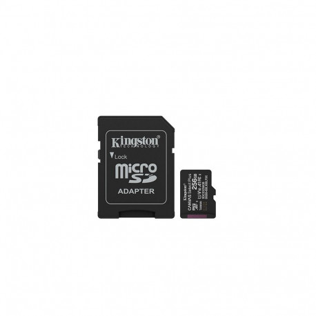 Kingston Canvas Select Plus 256GB microSD Class 10 + ADP