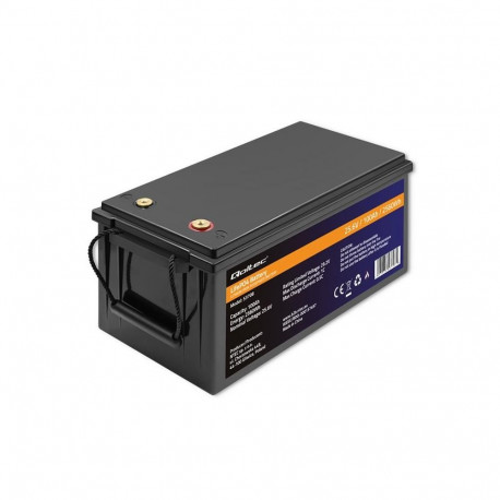 Battery LiFePO4 25.6V 100Ah 2560Wh BMS