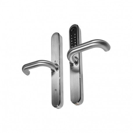 Handle with access control EURA ELH-30H4 Silver