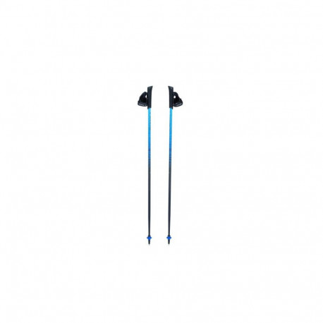 Nordic walking poles Viking Pro-Trainer blue 110