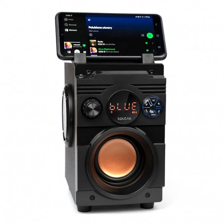 Bluetooth Speaker - SQUEAK SQ1001 20W Portable Black