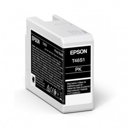 Ink Cartridge - Epson C13T46S100 Photo Black