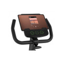 Rower stacjonarny Zipro Easy magnetyczny
