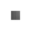 Smart Scene Wall Switch WiFi Sonoff M5 2C (2-channel)