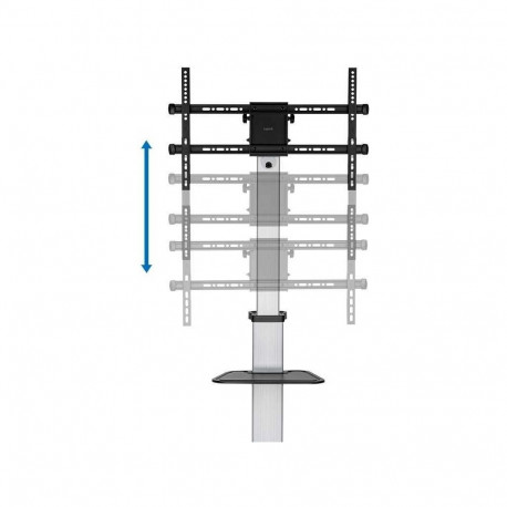 LogiLink BP0163, kategooriata