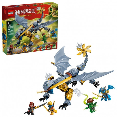 LEGO NINJAGO 71855 Ninja Dragon Riyu's Battle