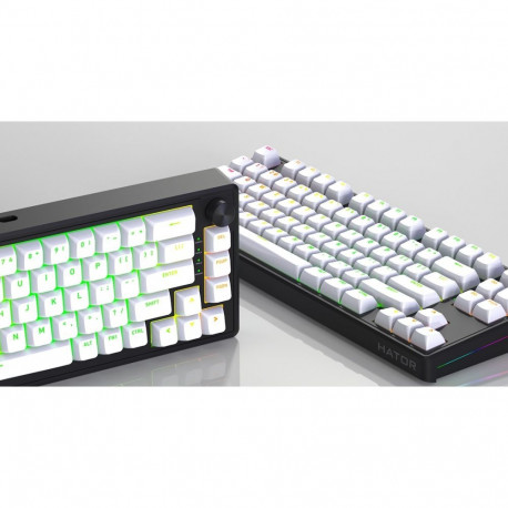 HATOR Skyfall 65 MAG Ultra 8K Wired Gaming Keyboard, USB, Aurum Ice Magnetic Linear Switches, QWERTY