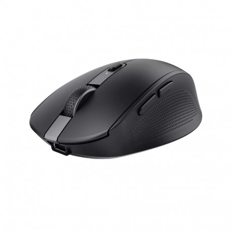 Trust Ozaa mouse Office Right-hand RF Wireless + Bluetooth Optical 3200 DPI