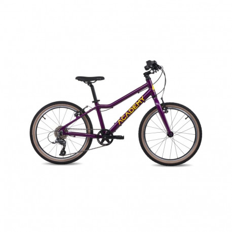 Ülikerge laste jalgratas ACADEMY Grade 4, 20" Purple