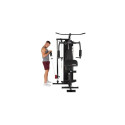 HAMMER Ferrum TX2 Back, Biceps, Triceps
