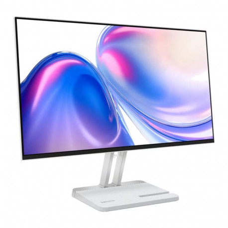 Lenovo monitor L24-46 23.8" FHD 165Hz 300nits HDMI VGA, pilvehall