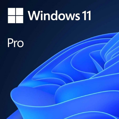 Microsoft  Windows 11 Pro  FQC-10528  English  OEI  DSP  64-bit