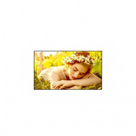 LG LED-ekraan 55UL5 55", UHD 500cd WebOS 24/7