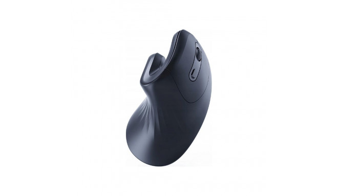 Ergonoomiline hiir 6 musta nupuga