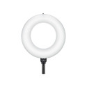 LED Ring Light GODOX LR150 Air