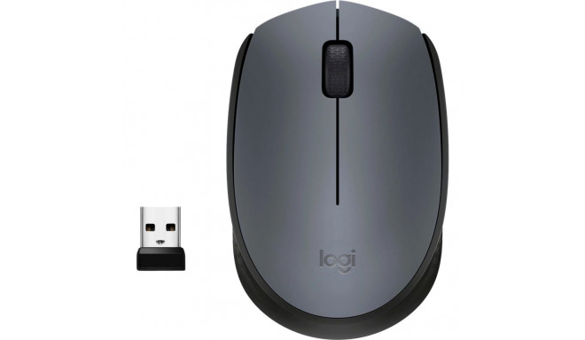 Wireless mouse M170