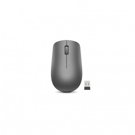 Lenovo 530 mouse Office Ambidextrous RF Wireless Optical 1200 DPI