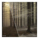 "COREL ParticleShop - Lizenz - Win, Mac - ESD-Download"