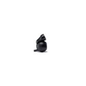 Nextbase Rear Window Camera