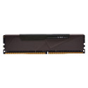 "8GB KLEVV 3600 BOLT X"